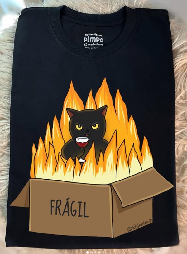 Gato Frágil By: @bbilustra.py